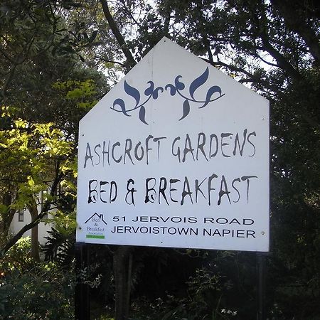 Ashcroft Gardens Bed & Breakfast Napier Exterior photo